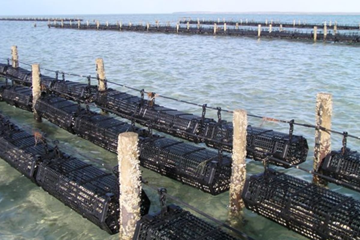 Hexcyl Systems on farms