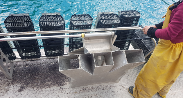 Specialized Shellfish Farms